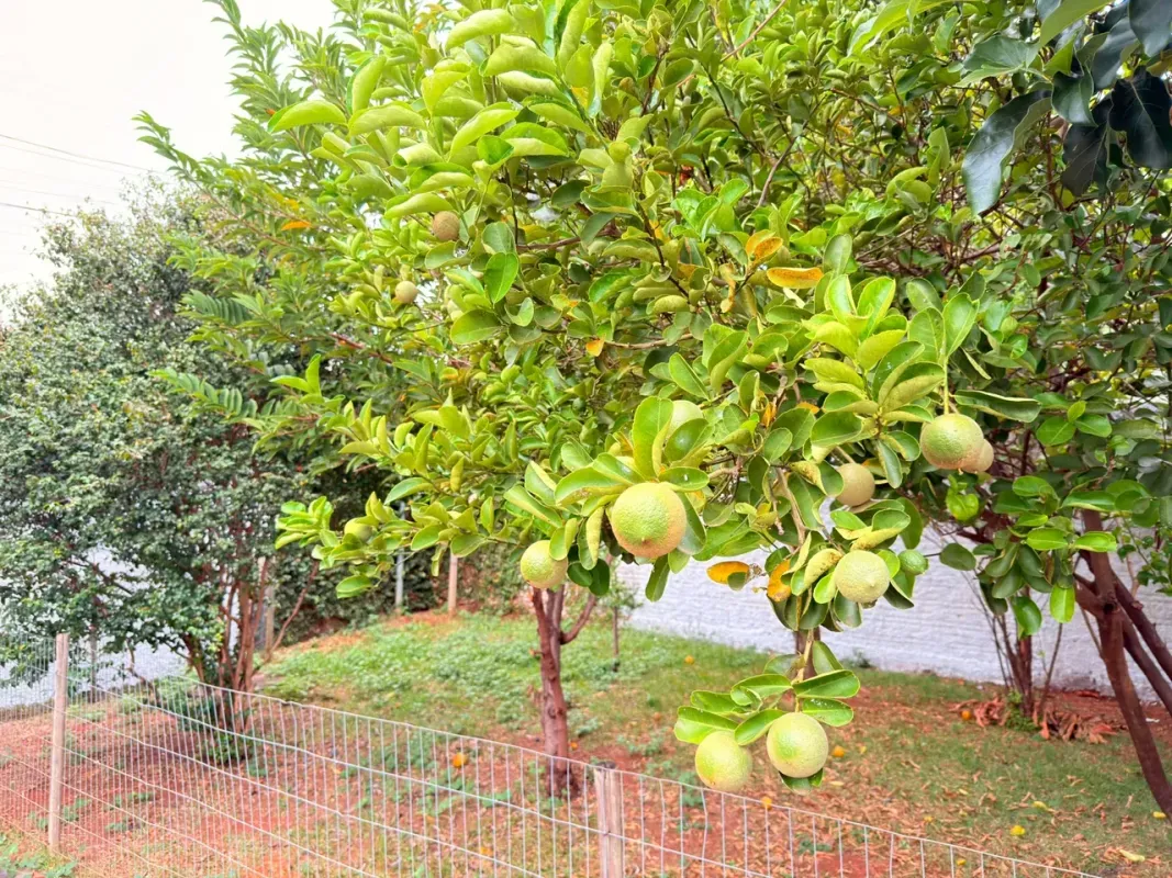 Casa para alugar 170 m² Jardim América